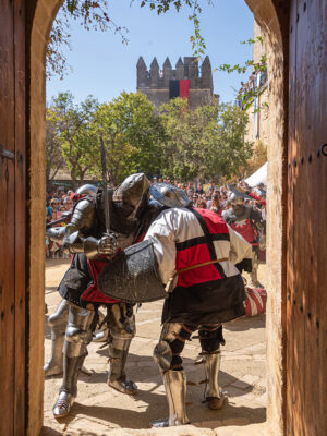 Medieval Combat Training