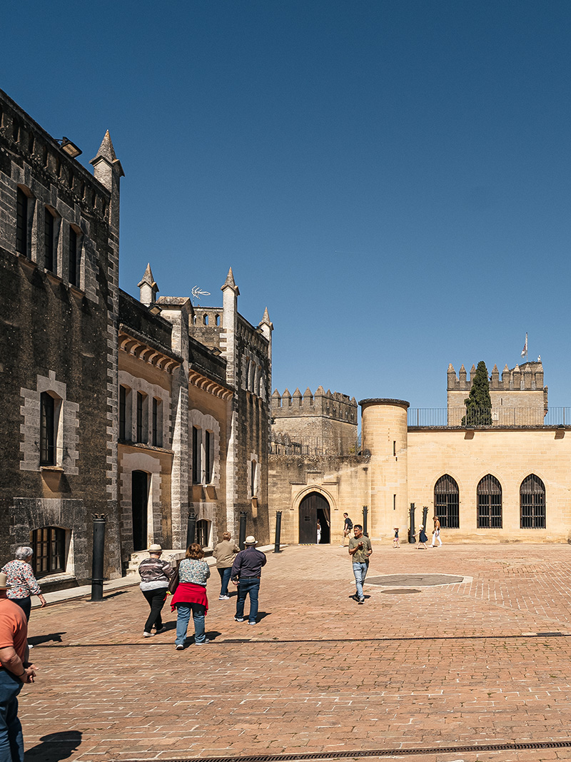 carrusel-visitas-generales_0003_Capa 2